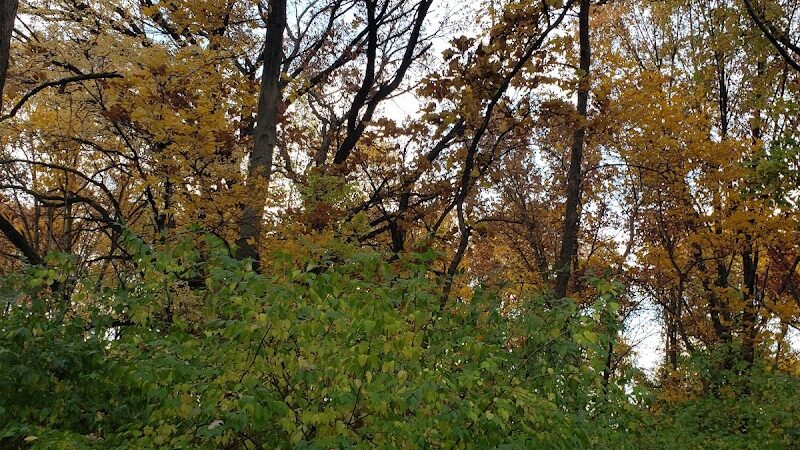 Hammel Woods Dog Park - Shorewood, IL