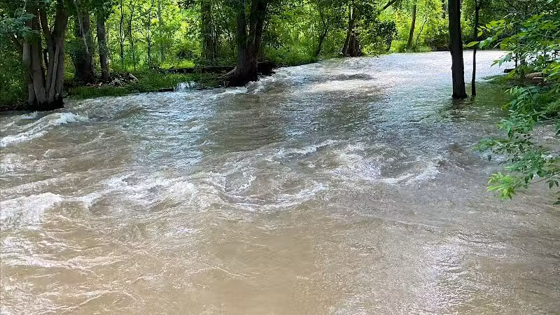 Water Street Dog Park - Shortsville, NY