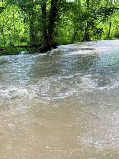Water Street Dog Park - Shortsville, NY