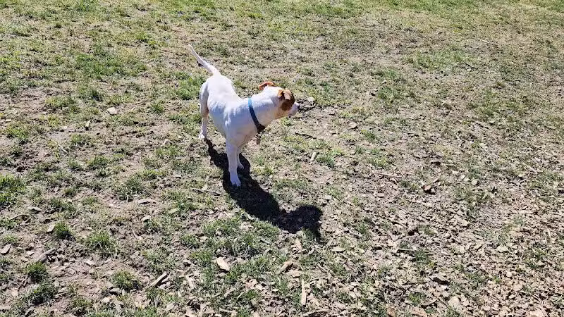 Water Street Dog Park - Shortsville, NY