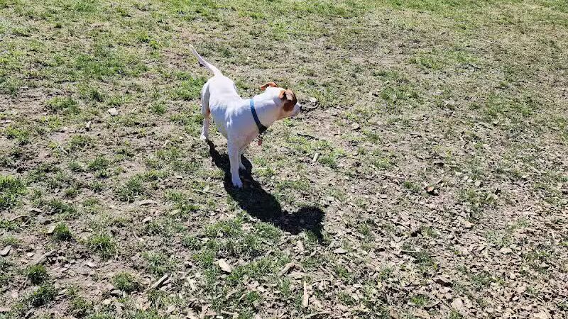 Water Street Dog Park - Shortsville, NY