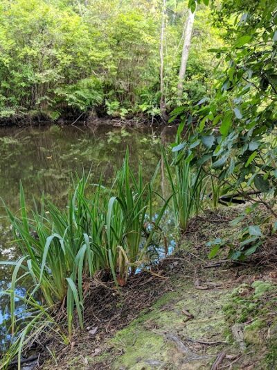 New Brooklyn Park - Sicklerville, NJ