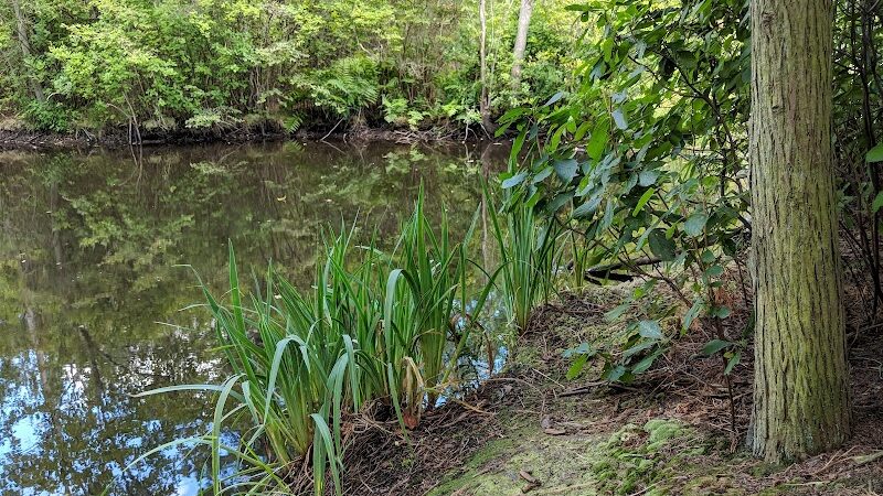 New Brooklyn Park - Sicklerville, NJ