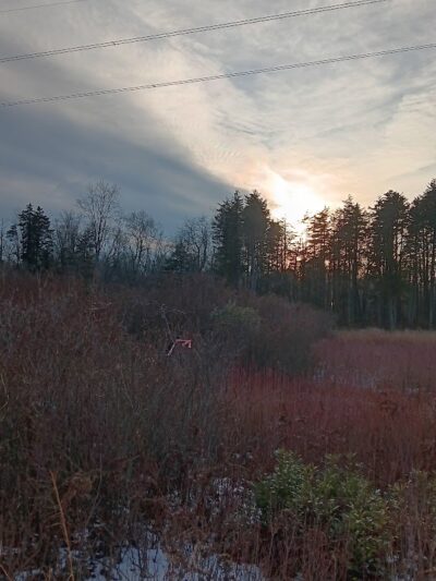 New Brooklyn Park - Sicklerville, NJ