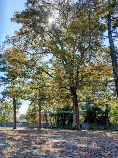 New Brooklyn Park - Sicklerville, NJ