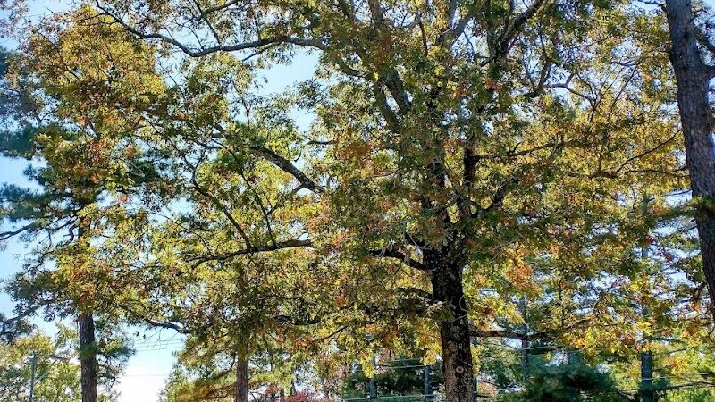 New Brooklyn Park - Sicklerville, NJ