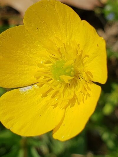 Winslow Township Frank Donio Memorial Park - Sicklerville, NJ