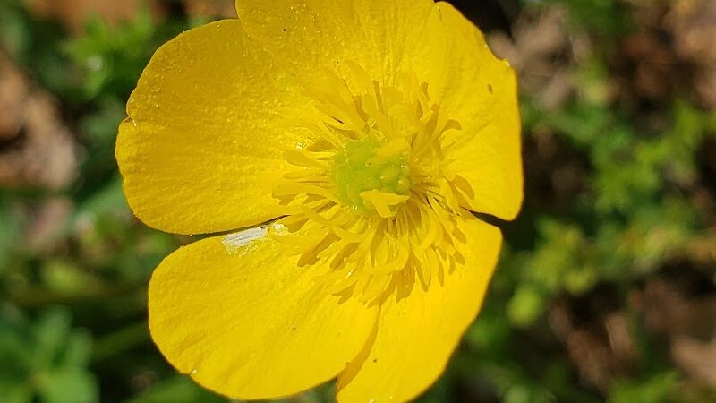 Winslow Township Frank Donio Memorial Park - Sicklerville, NJ