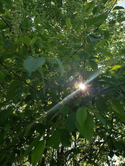 Winslow Township Frank Donio Memorial Park - Sicklerville, NJ