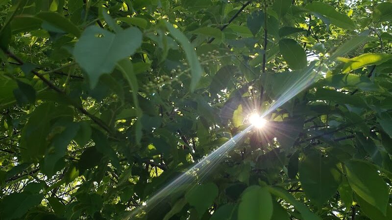 Winslow Township Frank Donio Memorial Park - Sicklerville, NJ