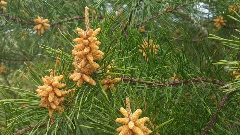 Winslow Township Frank Donio Memorial Park - Sicklerville, NJ