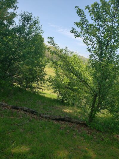 Winslow Township Frank Donio Memorial Park - Sicklerville, NJ