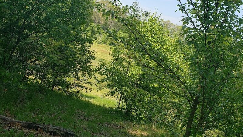 Winslow Township Frank Donio Memorial Park - Sicklerville, NJ