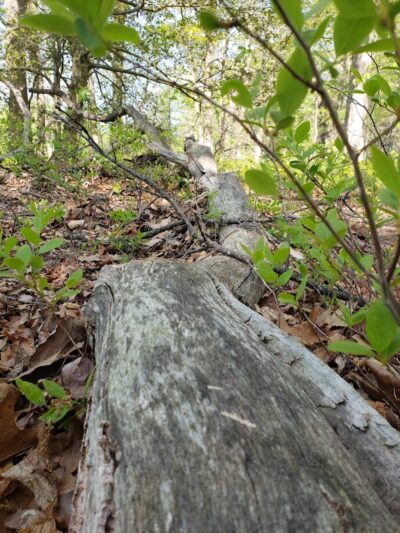 Winslow Township Frank Donio Memorial Park - Sicklerville, NJ