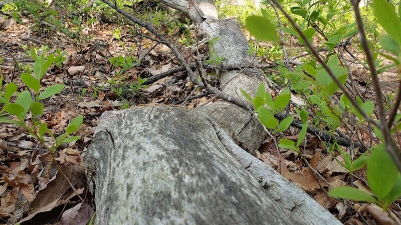 Winslow Township Frank Donio Memorial Park - Sicklerville, NJ