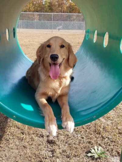 Winslow Township Ptlm. Daniel Calabrese Memorial Park - Sicklerville, NJ