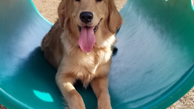 Winslow Township Ptlm. Daniel Calabrese Memorial Park - Sicklerville, NJ