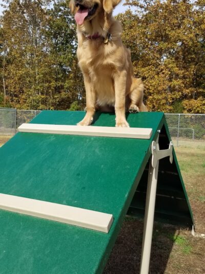 Winslow Township Ptlm. Daniel Calabrese Memorial Park - Sicklerville, NJ