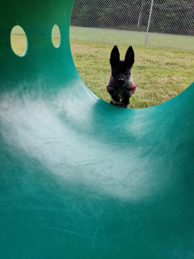 Winslow Township Ptlm. Daniel Calabrese Memorial Park - Sicklerville, NJ