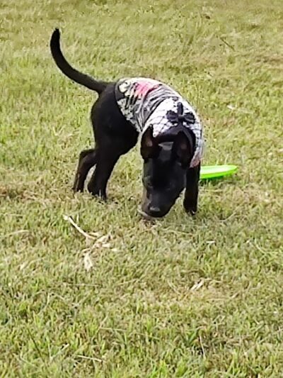 Winslow Township Ptlm. Daniel Calabrese Memorial Park - Sicklerville, NJ