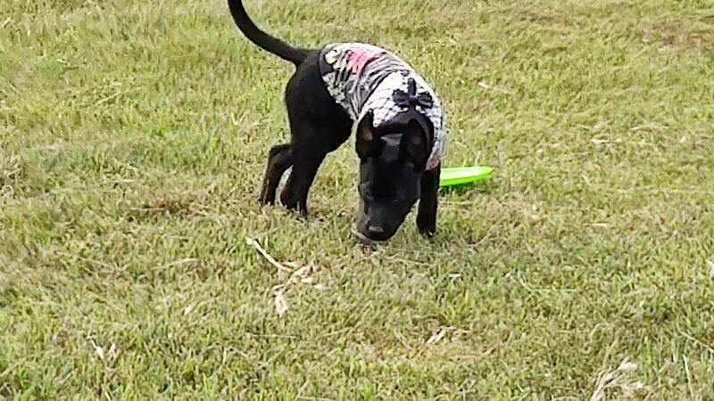 Winslow Township Ptlm. Daniel Calabrese Memorial Park - Sicklerville, NJ