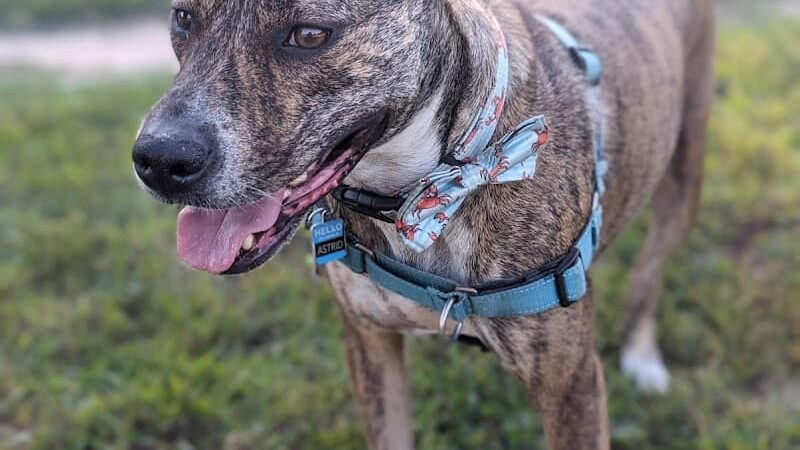 Winslow Township Ptlm. Daniel Calabrese Memorial Park - Sicklerville, NJ