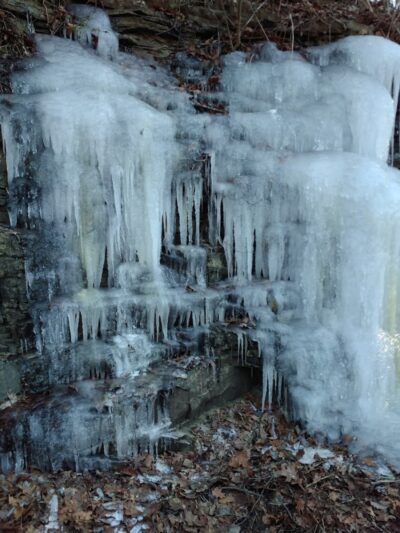 Public Park - Signal Mountain, TN