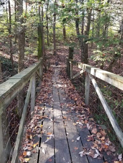 Public Park - Signal Mountain, TN