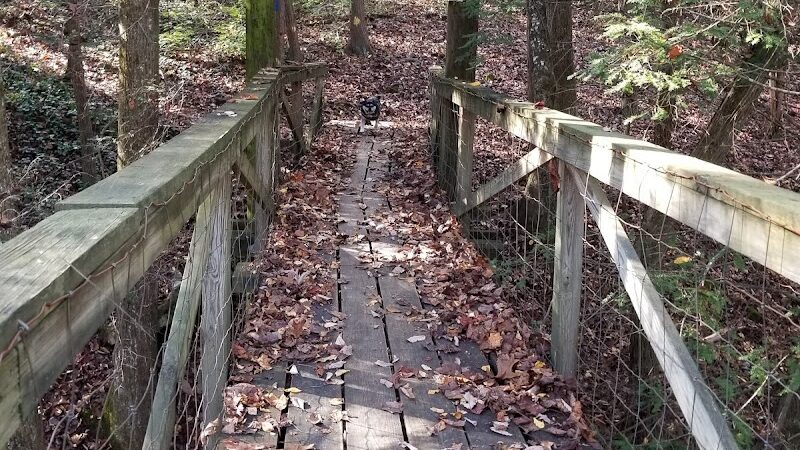 Public Park - Signal Mountain, TN