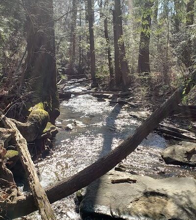 Public Park - Signal Mountain, TN