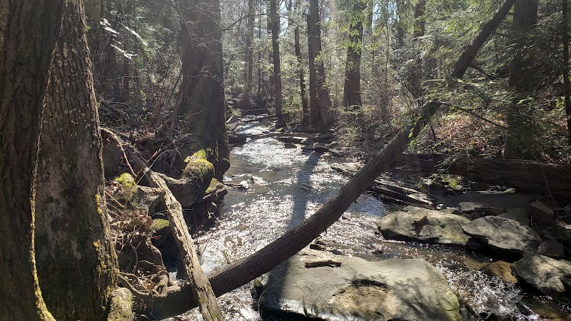 Public Park - Signal Mountain, TN