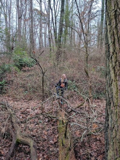 Public Park - Signal Mountain, TN