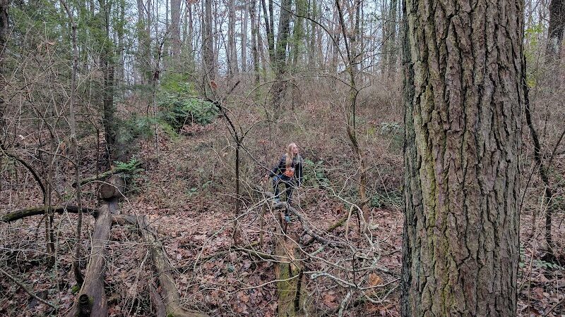 Public Park - Signal Mountain, TN