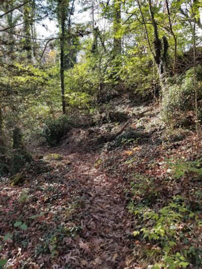 Public Park - Signal Mountain, TN