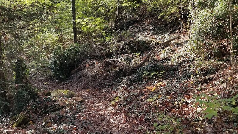 Public Park - Signal Mountain, TN