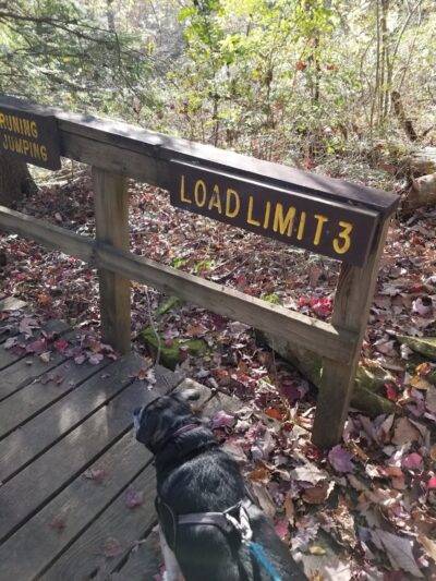 Public Park - Signal Mountain, TN