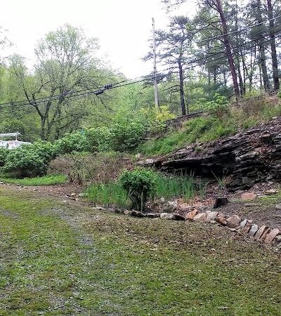 Public Park - Signal Mountain, TN