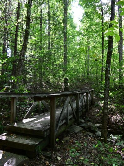 Shackleford Ridge County Park, Signal Mountain Tennessee - Signal Mountain, TN