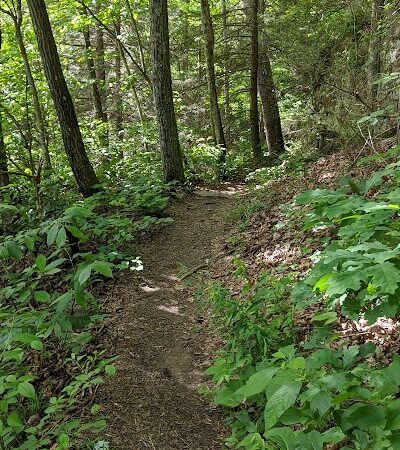Shackleford Ridge County Park, Signal Mountain Tennessee - Signal Mountain, TN