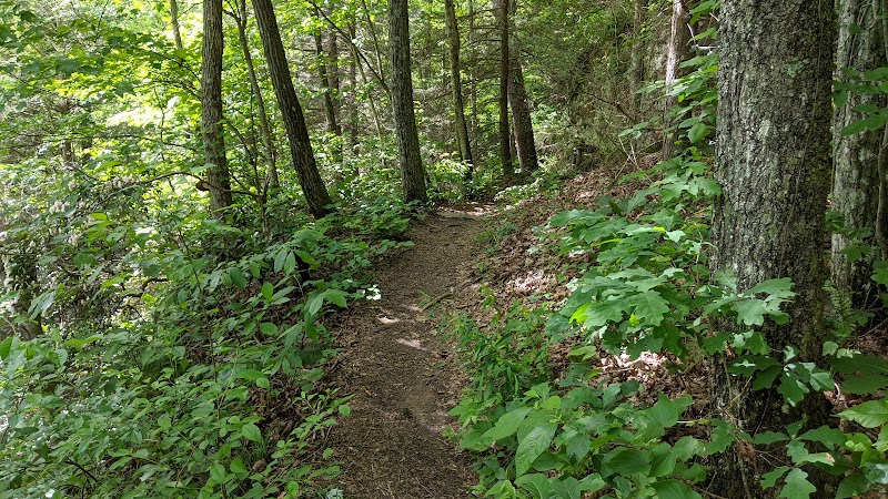 Shackleford Ridge County Park, Signal Mountain Tennessee - Signal Mountain, TN