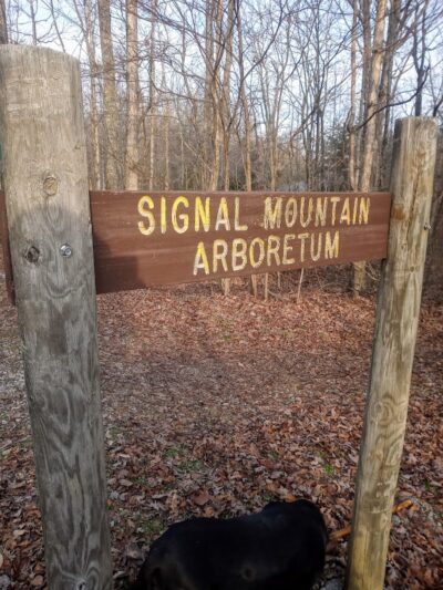 Shackleford Ridge County Park, Signal Mountain Tennessee - Signal Mountain, TN