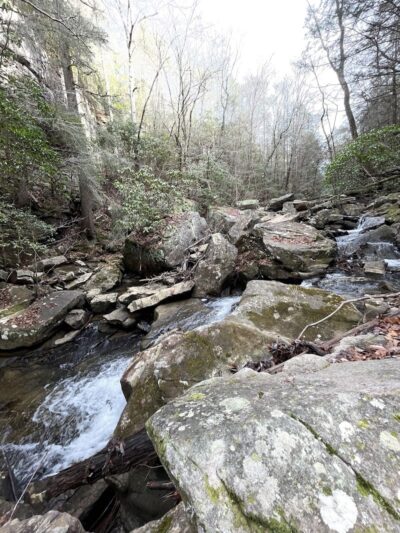 Shackleford Ridge County Park, Signal Mountain Tennessee - Signal Mountain, TN