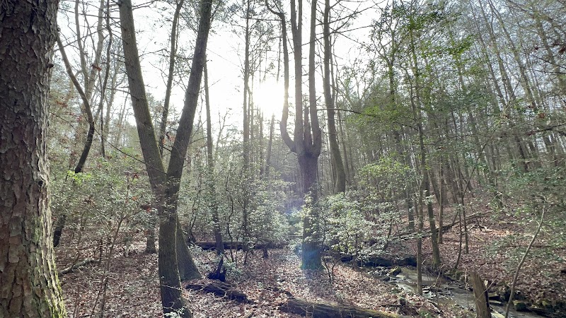 Shackleford Ridge County Park, Signal Mountain Tennessee - Signal Mountain, TN