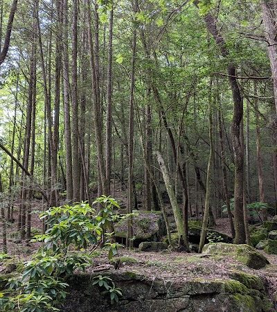 Shackleford Ridge County Park, Signal Mountain Tennessee - Signal Mountain, TN