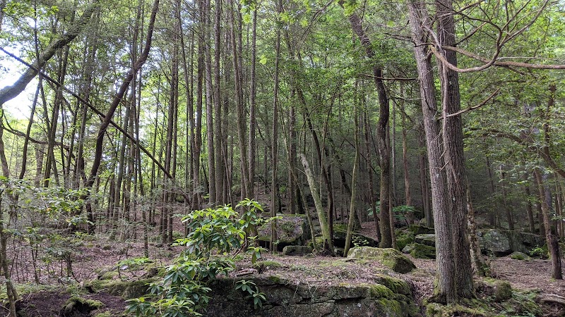 Shackleford Ridge County Park, Signal Mountain Tennessee - Signal Mountain, TN