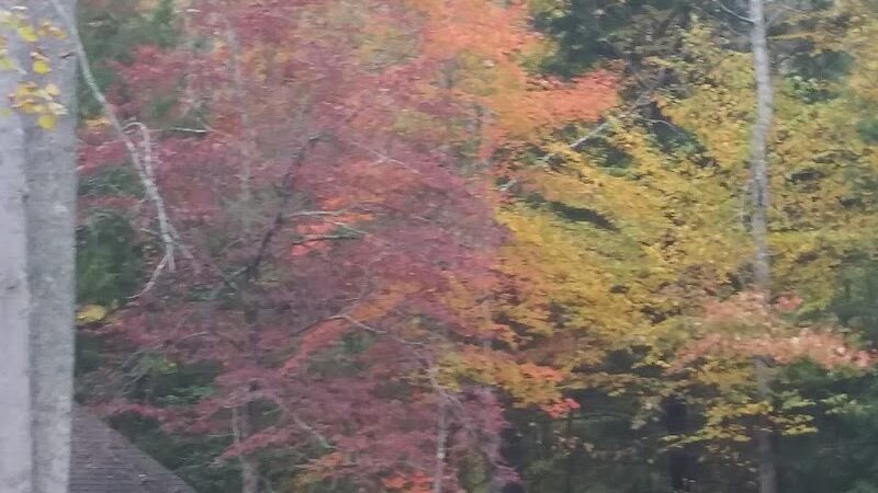 Shackleford Ridge County Park, Signal Mountain Tennessee - Signal Mountain, TN