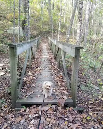 Shackleford Ridge County Park, Signal Mountain Tennessee - Signal Mountain, TN