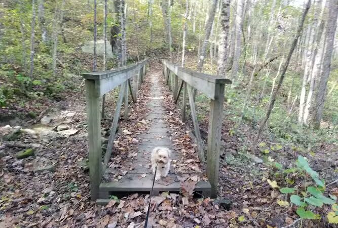 Shackleford Ridge County Park, Signal Mountain Tennessee - Signal Mountain, TN