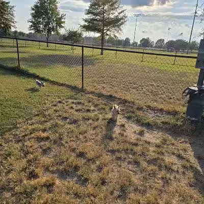 Sikeston Dog Park - Sikeston, MO