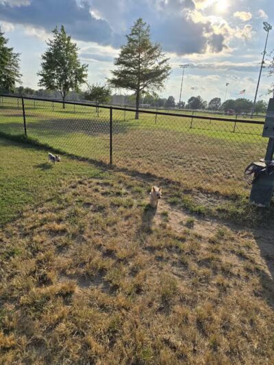 Sikeston Dog Park - Sikeston, MO